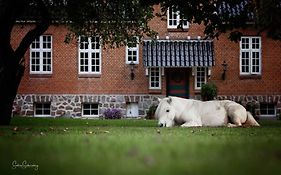 Sostgard B&B
